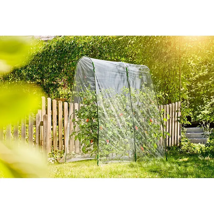 Windhager Folien-Gewächshaus Tomatentunnel - 200 x 27 x 210 cm - Transparentes Mini-Gewächshaus mit grünem Rahmen schützt Tomatenpflanzen im sonnigen Garten.