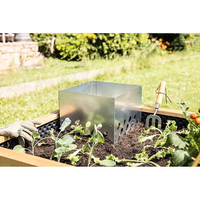 Windhager Komposter Hochbeeteinsatz - 48 x 30 x 30 cm - Perforierte Metall-Pflanzenschutzbarriere in einem Hochbeet mit jungen Pflanzen.