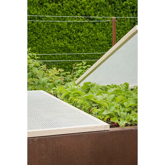 Windhager Gitterfolie Standard - L x B: 3 x 2 m, Weiß - Hochbeet aus Cortenstahl mit Netzabdeckungen, die junge Pflanzen wie Radieschen und Karotten schützen.