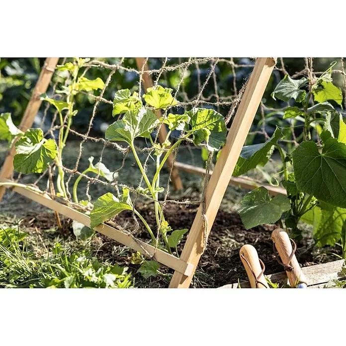 Windhager Rankhilfe Zelt - L x B x H: 90 x 75 x 105 cm, Kiefer - Gartenspalier aus Holz mit Jute-Netz stützt grüne Pflanzen in einem Gartenbeet.
