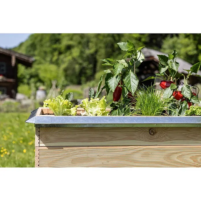 Windhager Schneckenblech Wand - Metall, B x L: 5 x 100 cm - Hölzernes Hochbeet mit Metallrand, bepflanzt mit Salat, Schnittlauch und Paprika, in einem Garten im Freien.