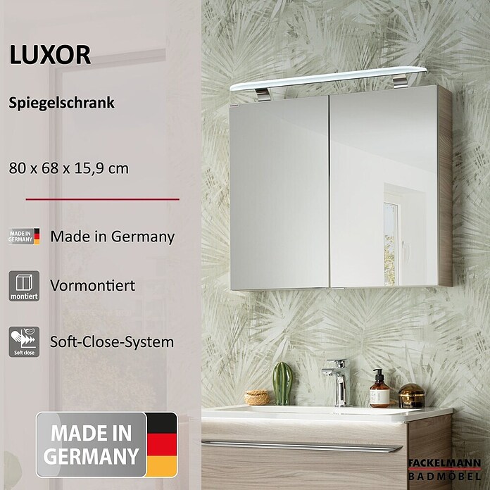 Fackelmann Luxor Spiegelschrank (B x H: 800 x 680 mm, Steinesche Holzoptik) | BAUHAUS