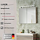 Fackelmann Luxor Spiegelschrank (B x H: 800 x 680 mm, Steinesche Holzoptik) | BAUHAUS