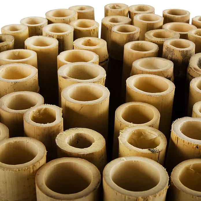 Floordirekt Sichtschutzelement Vollrohr-Bambus - B x H: 250 x 150 cm, Naturmaterialien, Beige - Zahlreiche hohle, naturbelassene Bambusrohre, geschnitten und dicht angeordnet.