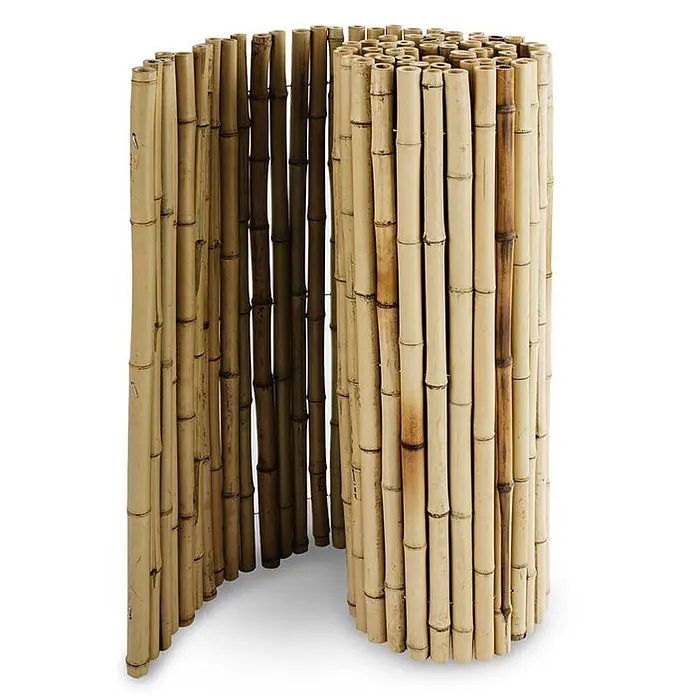 Floordirekt Sichtschutzelement Vollrohr-Bambus - B x H: 250 x 150 cm, Naturmaterialien, Beige - Natur-Bambussichtschutz, teilweise abgerollt, aus hellen und dunklen Bambusstäben.