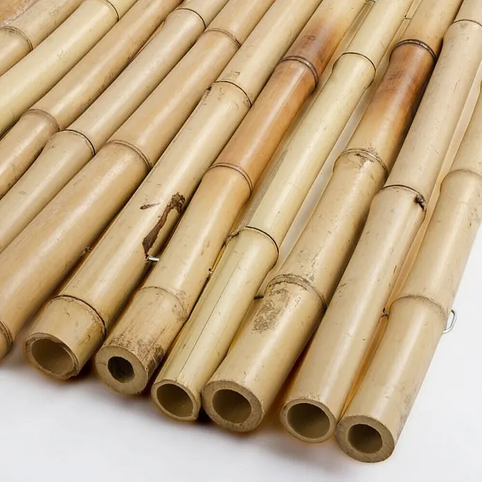 Floordirekt Sichtschutzelement Vollrohr-Bambus - B x H: 250 x 150 cm, Naturmaterialien, Beige - Platte aus hellbraunen Bambusrohren, variierende Naturtöne, parallel verlegt mit hohlen Enden.