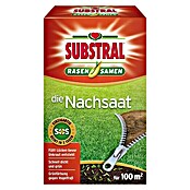 Substral Nachsaat-Rasen (2 kg)