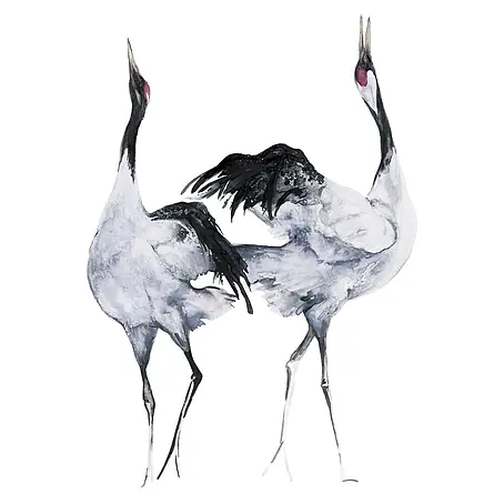 Marburg Kumano Fototapete Bird Illustration II