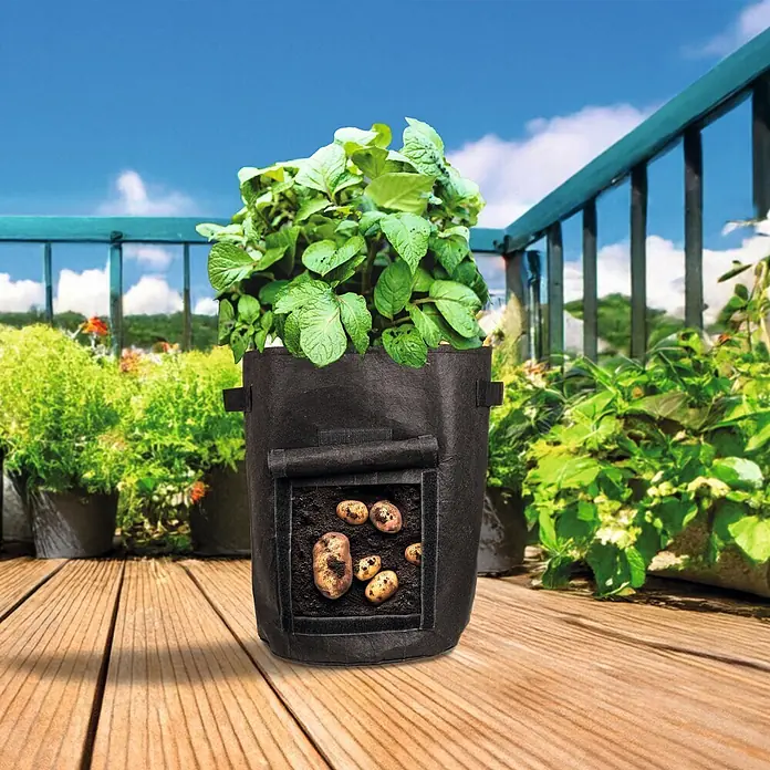 Romberg Anzuchttopf Textil 2er Set - Ø x H: 35 x 45 cm, Schwarz - Schwarzer Pflanzsack aus Stoff für Kartoffeln auf Holzterrasse, mit sichtbaren Kartoffeln durch die Seitenklappe.
