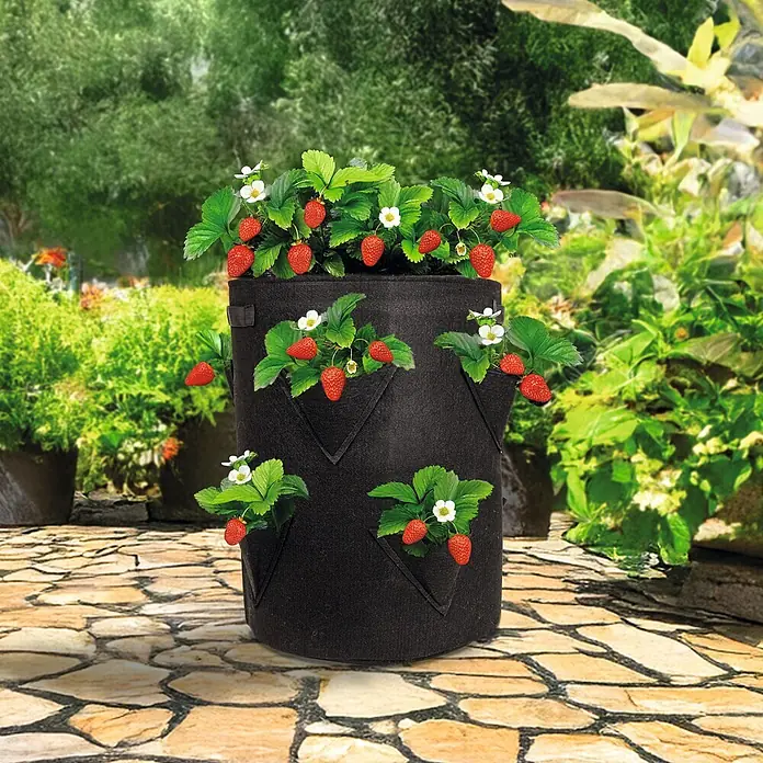 Romberg Anzuchttopf Textil 2er Set - Passend für: Erdbeeren, Schwarz - Schwarzer Filz-Erdbeerpflanzer mit mehreren Taschen, gefüllt mit reifen Erdbeeren und weißen Blüten, auf einer Steinterrasse in einem Garten.