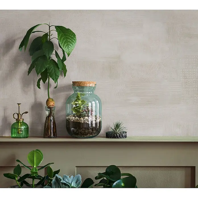 Marburg Novamur Plus Fresh UP Vliestapete Uni - Weiß-Grau, Uni, 10,05 x 0,53 m - Eine Anordnung von Zimmerpflanzen auf einem Regal, darunter eine Avocadopflanze im Wasser, ein Terrarium im Glas und eine Luftpflanze, mit weiteren Pflanzen darunter.