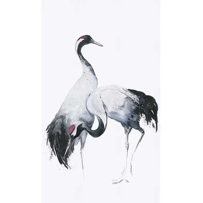 Marburg Kumano Fototapete Bird Illustration III - B x H: 159 mm x 270 cm, Vlies - Aquarellmalerei von zwei schwarz-weißen Kranichen mit roten Markierungen, einer putzt sich.