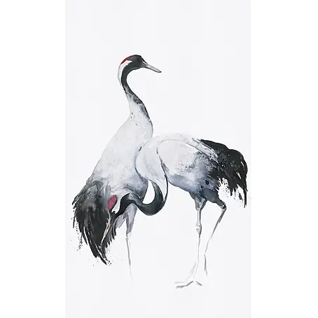 Marburg Kumano Fototapete Bird Illustration III