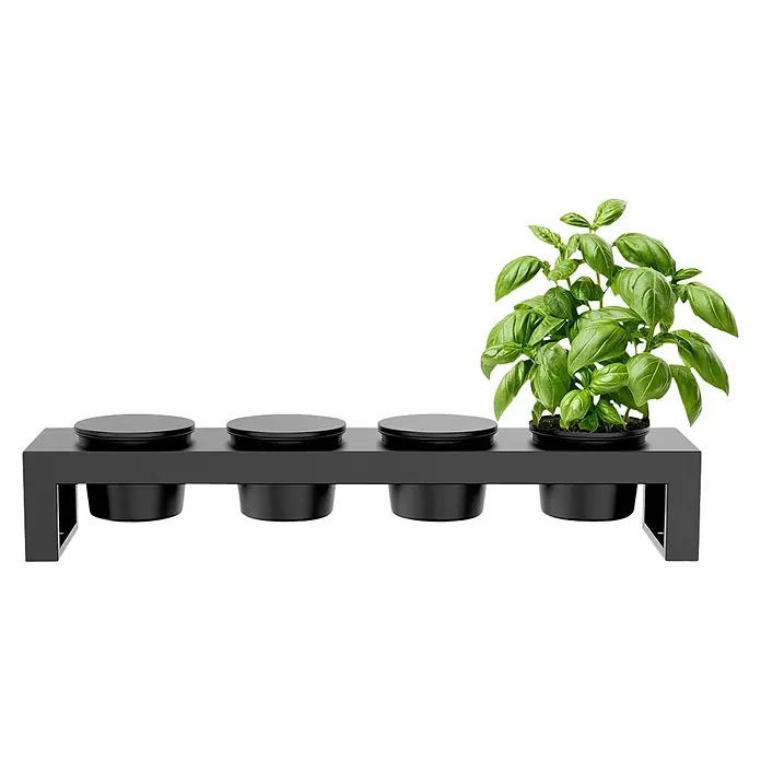Cozze Toppingstation - Stahl, B x T x H: 60 x 13 x 10 cm - Schwarzer Pflanzständer mit vier Fächern; eines enthält eine lebendige Basilikumpflanze, drei sind mit schwarzen Deckeln bedeckt.