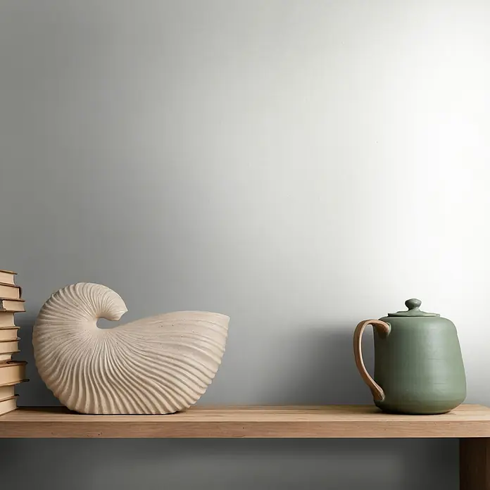 Marburg Whisper Vliestapete Putzoptik - Hellgrau, Sonstiges, 10,05 x 0,53 m - Eine hellbeige Nautilusschnecken-Skulptur, ein Stapel alter Bücher und eine grüne Teekanne mit Holzgriff auf einem Holzregal ausgestellt.