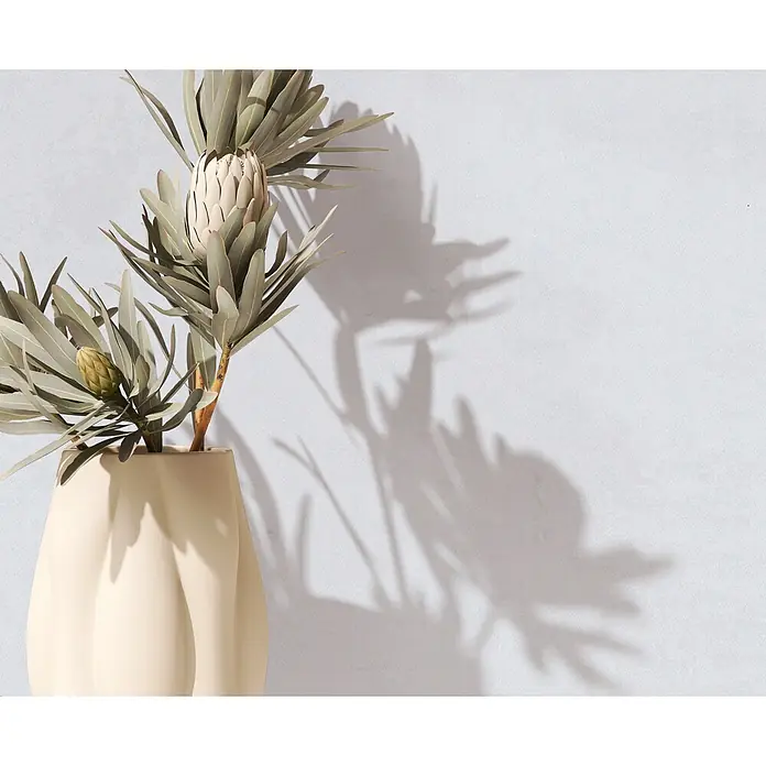 Marburg Vliestapete Novamur Oriana Uni - Grau, Uni, 10,05 x 0,53 m - Cremefarbene Vase mit zwei Protea-Blüten, eine offen, eine Knospe, die Schatten wirft.