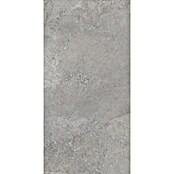 Palazzo Feinsteinzeugfliese Valdi (30 x 60 cm, Taupe, Matt) | BAUHAUS