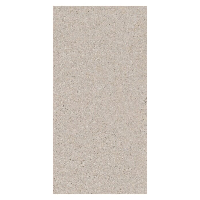 Palazzo Feinsteinzeugfliese Valdi (30 x 60 cm, White, Matt) | BAUHAUS