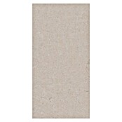 Palazzo Feinsteinzeugfliese Valdi (30 x 60 cm, White, Matt) | BAUHAUS
