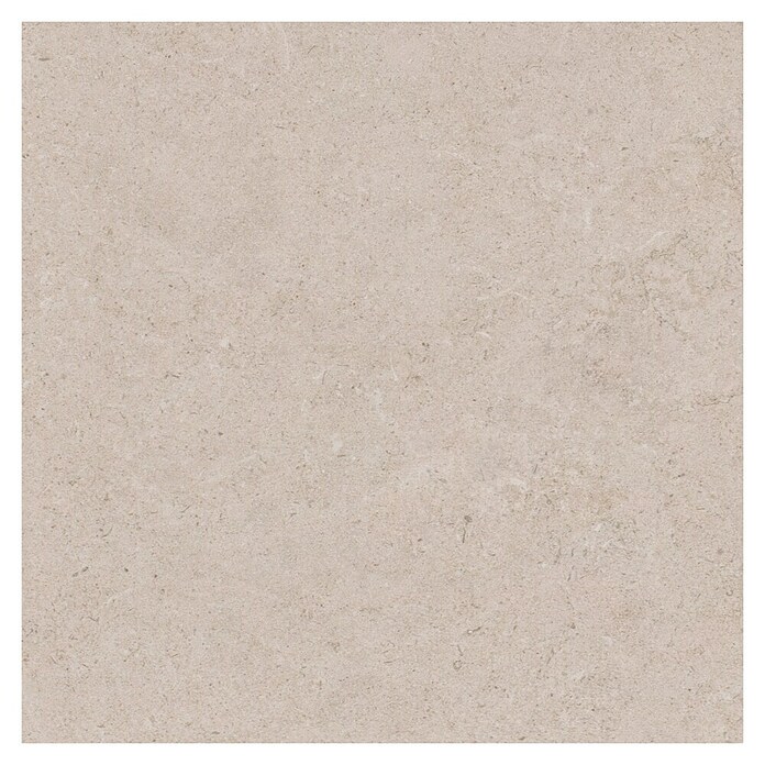 RAK Ceramics Feinsteinzeugfliese Valdi (60 x 60 cm, White, Matt) | BAUHAUS
