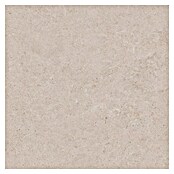 RAK Ceramics Feinsteinzeugfliese Valdi (60 x 60 cm, White, Matt) | BAUHAUS