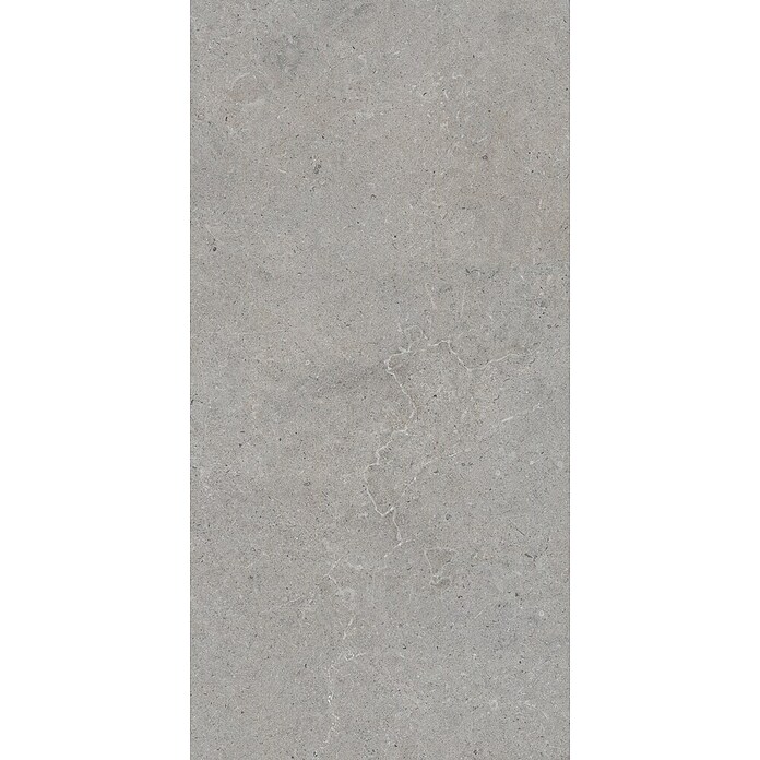 Palazzo Feinsteinzeugfliese Valdi (30 x 60 cm, Taupe, Matt) | BAUHAUS