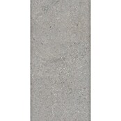 Palazzo Feinsteinzeugfliese Valdi (30 x 60 cm, Taupe, Matt) | BAUHAUS
