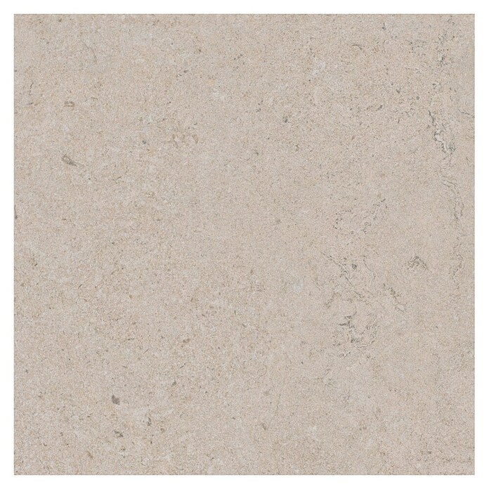 RAK Ceramics Feinsteinzeugfliese Valdi (60 x 60 cm, White, Matt) | BAUHAUS