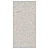 RAK Ceramics Feinsteinzeugfliese Valdi (30 x 60 cm, Light Grey, Matt) | BAUHAUS