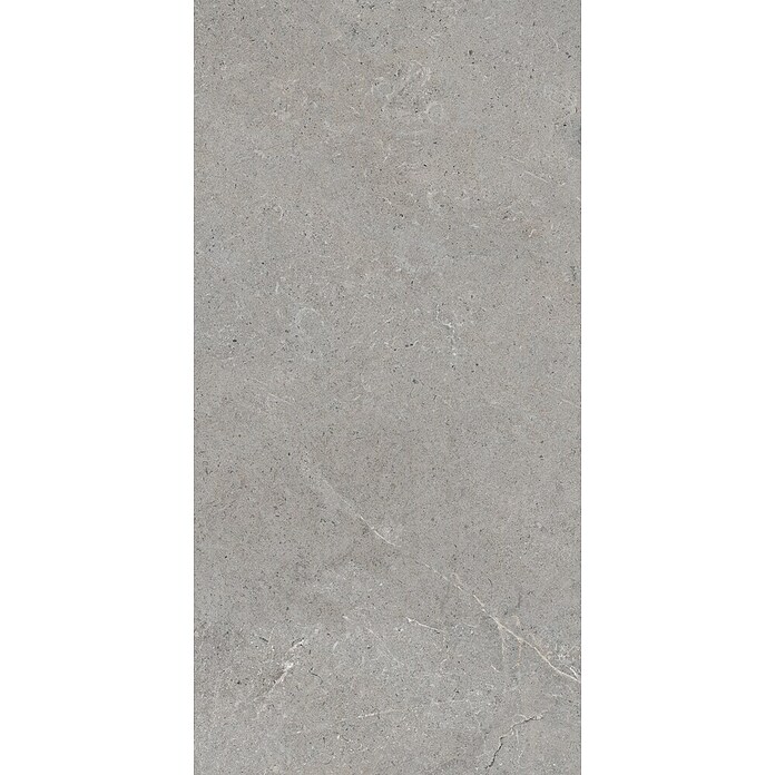 Palazzo Feinsteinzeugfliese Valdi (30 x 60 cm, Taupe, Matt) | BAUHAUS