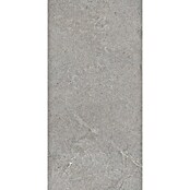 Palazzo Feinsteinzeugfliese Valdi (30 x 60 cm, Taupe, Matt) | BAUHAUS