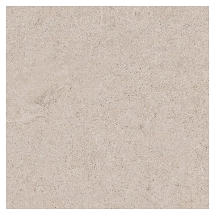 RAK Ceramics Feinsteinzeugfliese Valdi (60 x 60 cm, White, Matt) | BAUHAUS