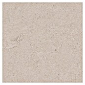 RAK Ceramics Feinsteinzeugfliese Valdi (60 x 60 cm, White, Matt) | BAUHAUS