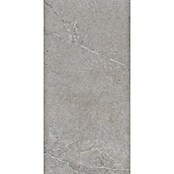 Palazzo Feinsteinzeugfliese Valdi (30 x 60 cm, Taupe, Matt) | BAUHAUS