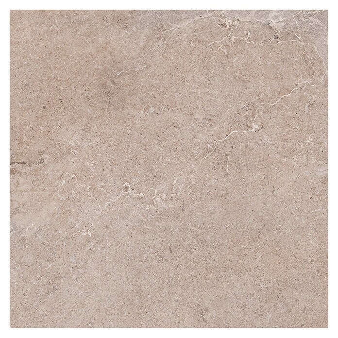 Palazzo Feinsteinzeugfliese Valdi (60 x 60 cm, Beige, Matt) | BAUHAUS