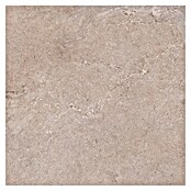 Palazzo Feinsteinzeugfliese Valdi (60 x 60 cm, Beige, Matt) | BAUHAUS