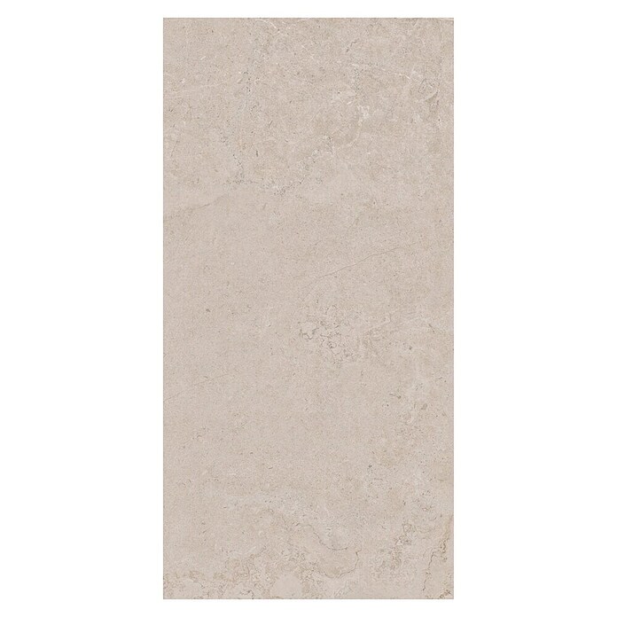 Palazzo Feinsteinzeugfliese Valdi (60 x 120 cm, White, Matt) | BAUHAUS