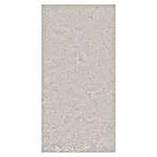 RAK Ceramics Feinsteinzeugfliese Valdi (30 x 60 cm, Light Grey, Matt) | BAUHAUS