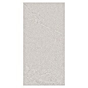 RAK Ceramics Feinsteinzeugfliese Valdi (30 x 60 cm, Light Grey, Matt) | BAUHAUS