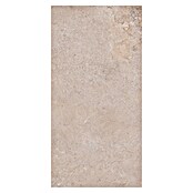 RAK Ceramics Feinsteinzeugfliese Valdi (60 x 120 cm, Beige, Matt) | BAUHAUS