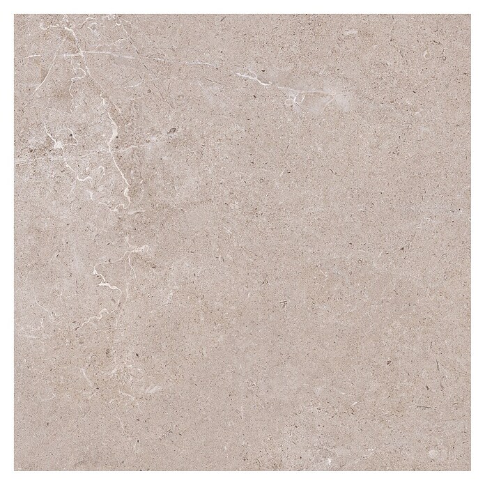 Palazzo Feinsteinzeugfliese Valdi (60 x 60 cm, Beige, Matt) | BAUHAUS