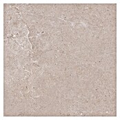 Palazzo Feinsteinzeugfliese Valdi (60 x 60 cm, Beige, Matt) | BAUHAUS