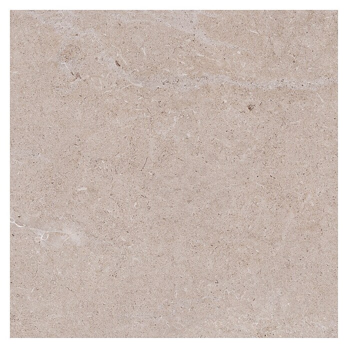 Palazzo Feinsteinzeugfliese Valdi (60 x 60 cm, Beige, Matt) | BAUHAUS