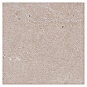 Palazzo Feinsteinzeugfliese Valdi (60 x 60 cm, Beige, Matt) | BAUHAUS