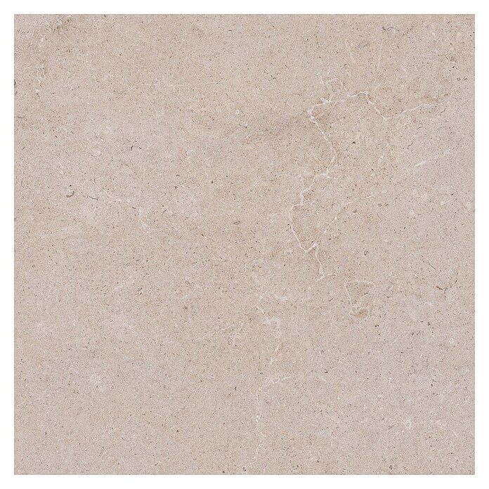 Palazzo Feinsteinzeugfliese Valdi (60 x 60 cm, Beige, Matt) | BAUHAUS
