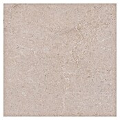 Palazzo Feinsteinzeugfliese Valdi (60 x 60 cm, Beige, Matt) | BAUHAUS