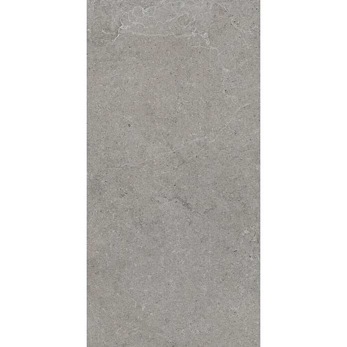 Palazzo Feinsteinzeugfliese Valdi (30 x 60 cm, Taupe, Matt) | BAUHAUS