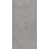 Palazzo Feinsteinzeugfliese Valdi (30 x 60 cm, Taupe, Matt) | BAUHAUS
