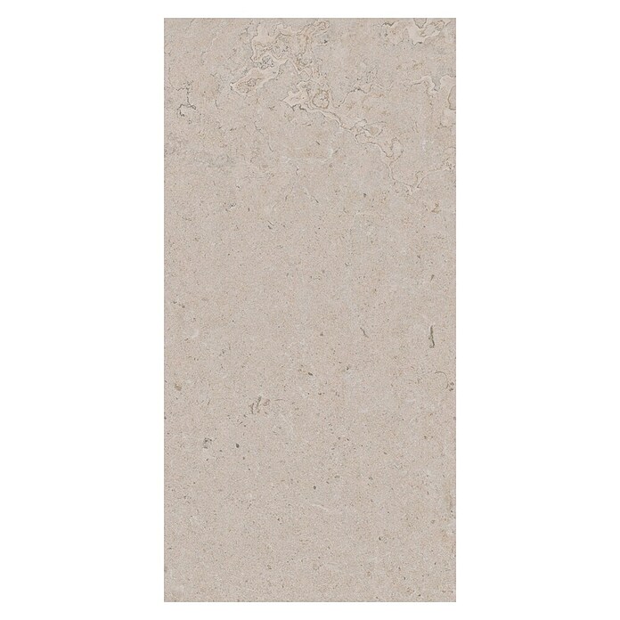 Palazzo Feinsteinzeugfliese Valdi (30 x 60 cm, White, Matt) | BAUHAUS