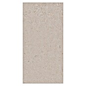 Palazzo Feinsteinzeugfliese Valdi (30 x 60 cm, White, Matt) | BAUHAUS